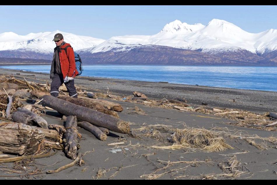 Robb Kaler von der US Fischerei und Wildtierbehörde sucht nach toten Vögeln bei Hallo Bay im Katmai Nationalpark, westlich von Anchorage. Bild: Stacia Backenstoss, National Park Service via APP
