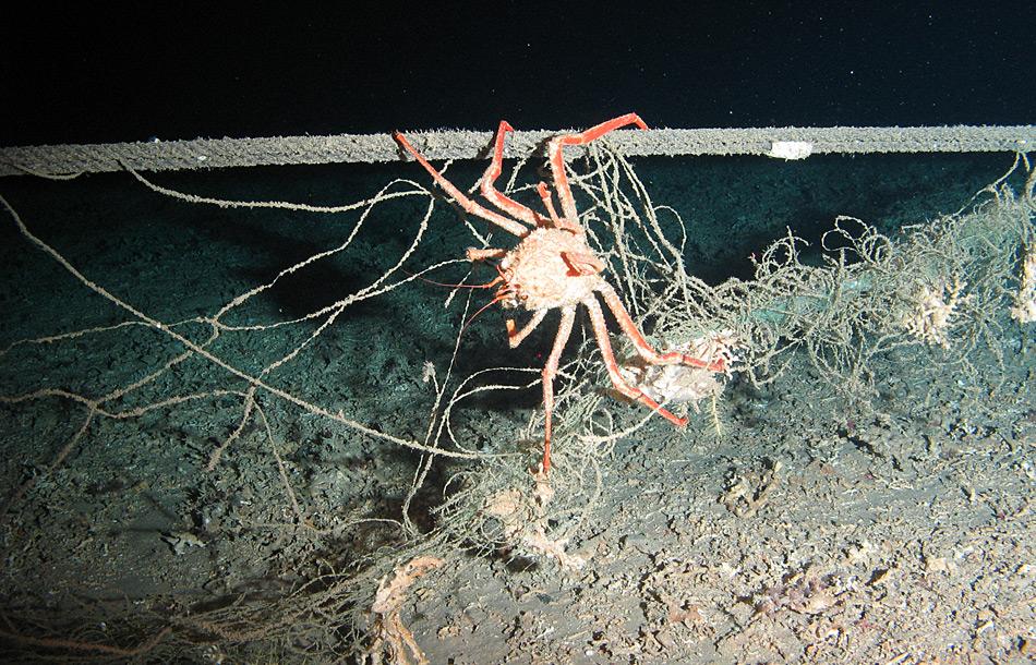 Müll im Mittelmeer von der Expedition POS400 mit FS Poseidon. Foto: AWI, Bremerhaven