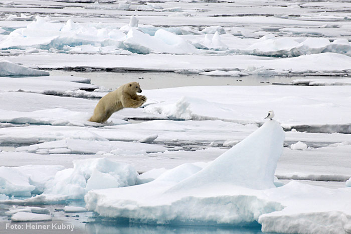 Spitzbergen-019