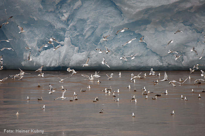 Spitzbergen-024